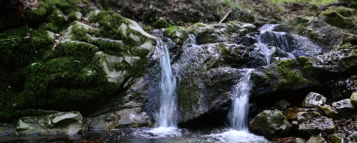 Wasserplätschern im Wald